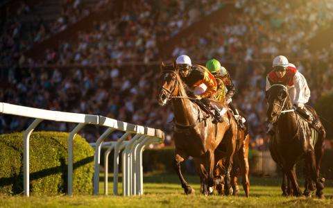 An unforgettable equestrian stay at the Hotel Auteuil Tour Eiffel